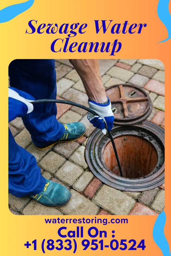 Sewage Water Cleanup in Gardnertown, NY