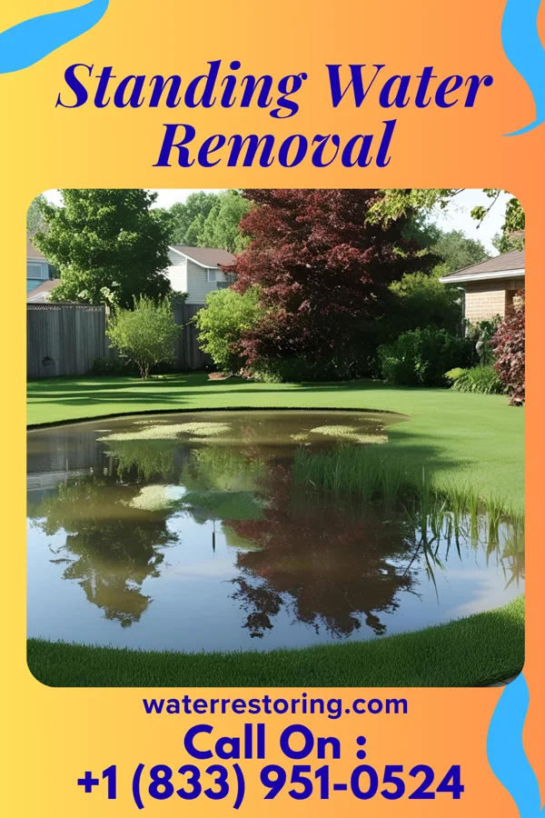 Standing Water Removal in Gardnertown, NY